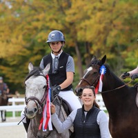 Bienvenue chez MF Stable 