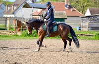 Une écurie polyvalente 